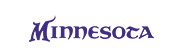 Vikings Store